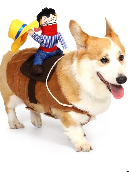 T2Y Other - NWOT Riding Cowboy Saddle Dog Halloween Costume
